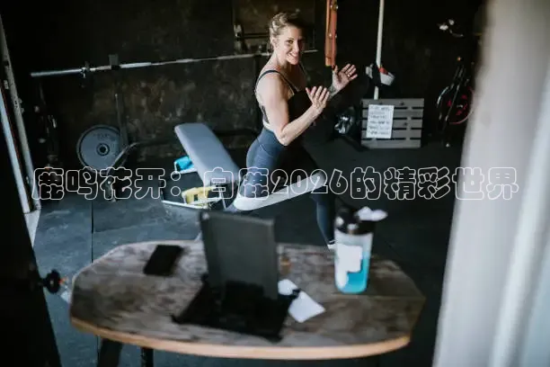 鹿鸣花开：白鹿2026的精彩世界